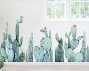 Large Cactus Plants