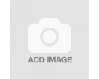 Car Window Sticker - Bumper Sticker